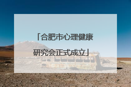 合肥市心理健康研究会正式成立