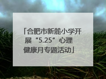 合肥市新麓小学开展“5.25”心理健康月专题活动