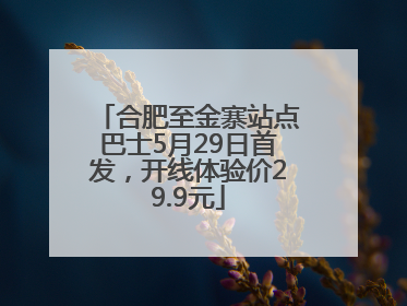 合肥至金寨站点巴士5月29日首发，开线体验价29.9元