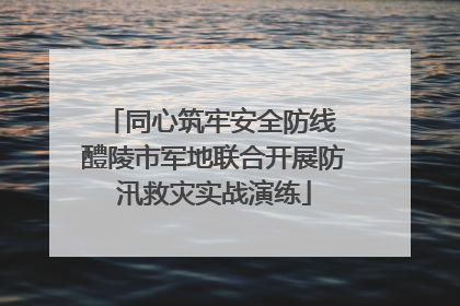 同心筑牢安全防线 醴陵市军地联合开展防汛救灾实战演练