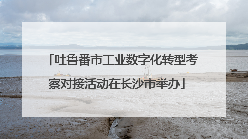 吐鲁番市工业数字化转型考察对接活动在长沙市举办