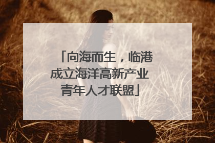 向海而生，临港成立海洋高新产业青年人才联盟