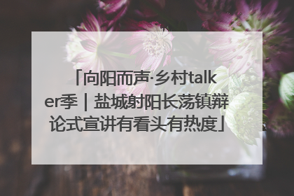 向阳而声·乡村talker季｜盐城射阳长荡镇辩论式宣讲有看头有热度