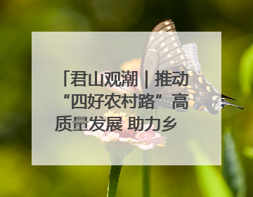 君山观潮｜推动“四好农村路”高质量发展 助力乡村振兴出新彩