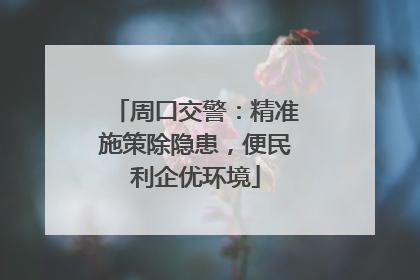周口交警：精准施策除隐患，便民利企优环境
