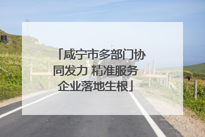 咸宁市多部门协同发力 精准服务企业落地生根