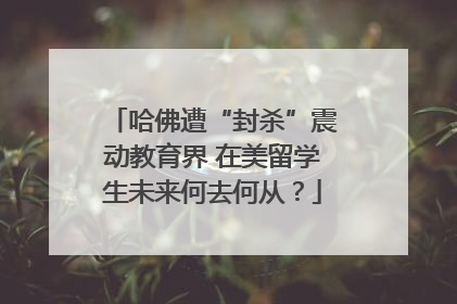 哈佛遭“封杀”震动教育界 在美留学生未来何去何从？