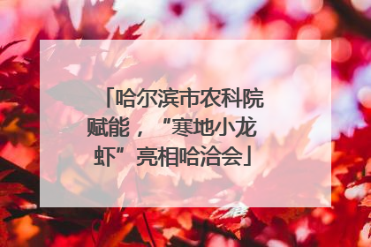 哈尔滨市农科院赋能，“寒地小龙虾”亮相哈洽会