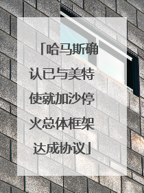 哈马斯确认已与美特使就加沙停火总体框架达成协议