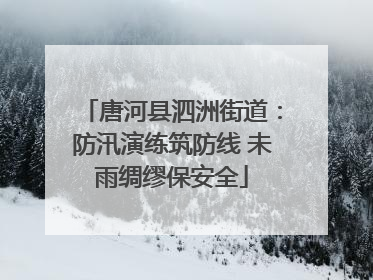唐河县泗洲街道：防汛演练筑防线 未雨绸缪保安全