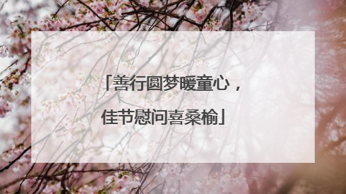 善行圆梦暖童心，佳节慰问喜桑榆