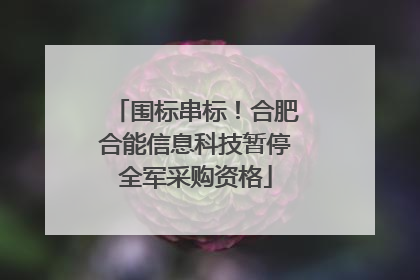 围标串标！合肥合能信息科技暂停全军采购资格