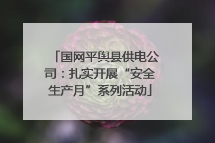 国网平舆县供电公司：扎实开展“安全生产月”系列活动