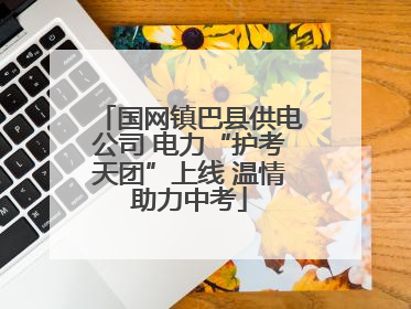 国网镇巴县供电公司 电力“护考天团”上线 温情助力中考