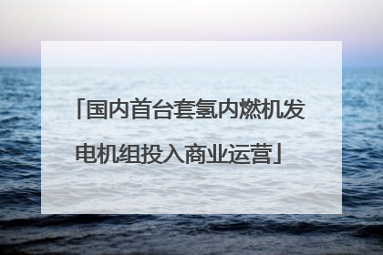 国内首台套氢内燃机发电机组投入商业运营