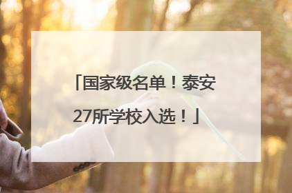 国家级名单！泰安27所学校入选！