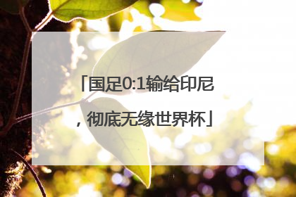 国足0:1输给印尼，彻底无缘世界杯