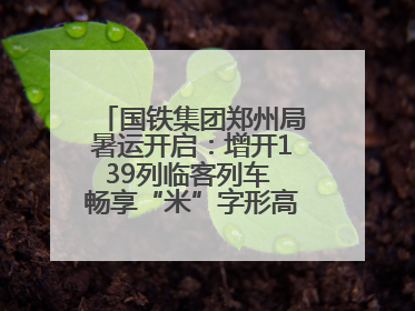 国铁集团郑州局暑运开启：增开139列临客列车 畅享“米”字形高铁出行圈