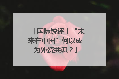 国际锐评丨“未来在中国”何以成为外资共识？