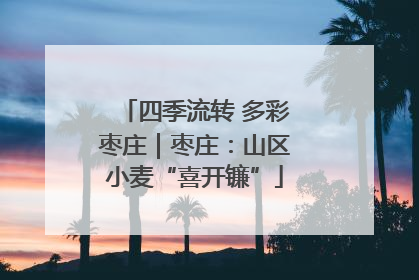 四季流转 多彩枣庄｜枣庄：山区小麦“喜开镰”
