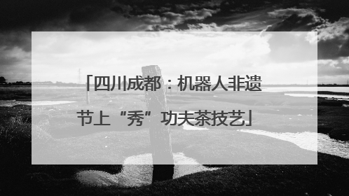 四川成都：机器人非遗节上“秀”功夫茶技艺