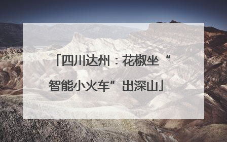 四川达州：花椒坐“智能小火车”出深山