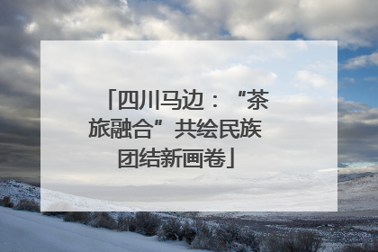 四川马边：“茶旅融合”共绘民族团结新画卷