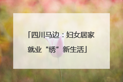 四川马边：妇女居家就业“绣”新生活