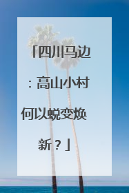 四川马边：高山小村何以蜕变焕新？