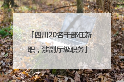 四川20名干部任新职，涉副厅级职务