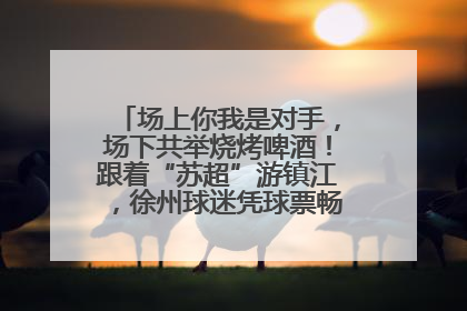 场上你我是对手，场下共举烧烤啤酒！跟着“苏超”游镇江，徐州球迷凭球票畅游名山胜景