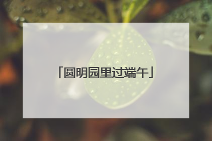 圆明园里过端午