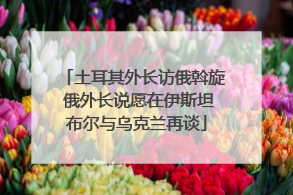 土耳其外长访俄斡旋 俄外长说愿在伊斯坦布尔与乌克兰再谈