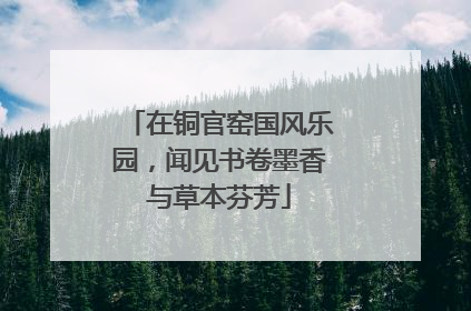 在铜官窑国风乐园，闻见书卷墨香与草本芬芳