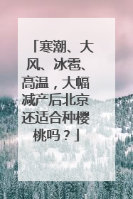 寒潮、大风、冰雹、高温，大幅减产后北京还适合种樱桃吗？