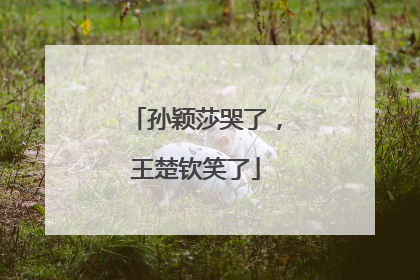 孙颖莎哭了，王楚钦笑了