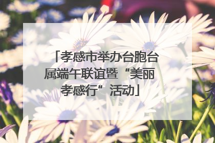 孝感市举办台胞台属端午联谊暨“美丽孝感行”活动