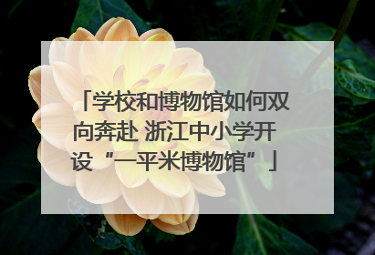 学校和博物馆如何双向奔赴 浙江中小学开设“一平米博物馆”