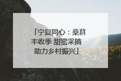 宁夏同心：桑葚丰收季 甜蜜采摘助力乡村振兴