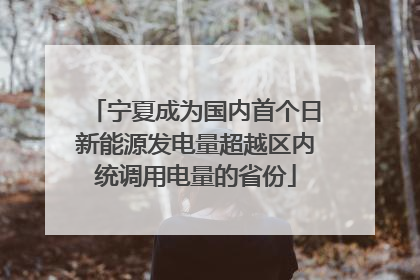 宁夏成为国内首个日新能源发电量超越区内统调用电量的省份