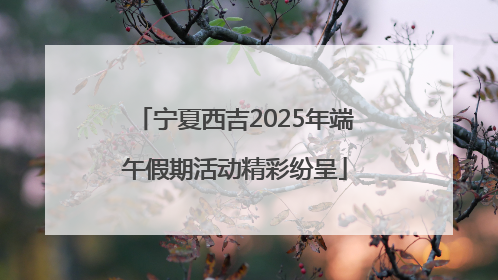宁夏西吉2025年端午假期活动精彩纷呈