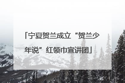 宁夏贺兰成立“贺兰少年说”红领巾宣讲团