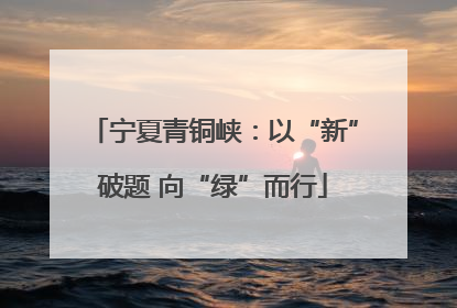 宁夏青铜峡：以“新”破题 向“绿”而行