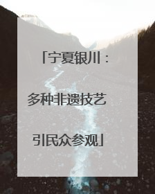 宁夏银川：多种非遗技艺引民众参观
