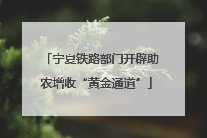 宁夏铁路部门开辟助农增收“黄金通道”