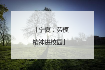 宁夏：劳模精神进校园