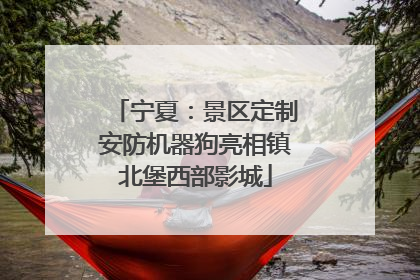 宁夏：景区定制安防机器狗亮相镇北堡西部影城