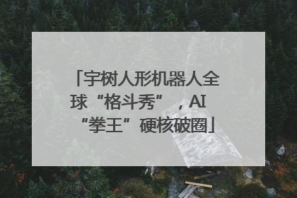宇树人形机器人全球“格斗秀”，AI“拳王”硬核破圈