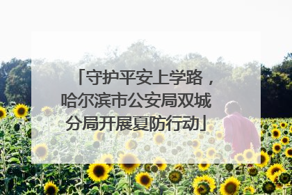守护平安上学路，哈尔滨市公安局双城分局开展夏防行动