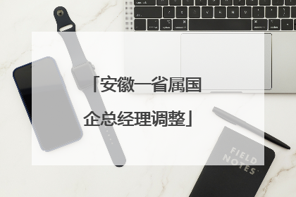 安徽一省属国企总经理调整